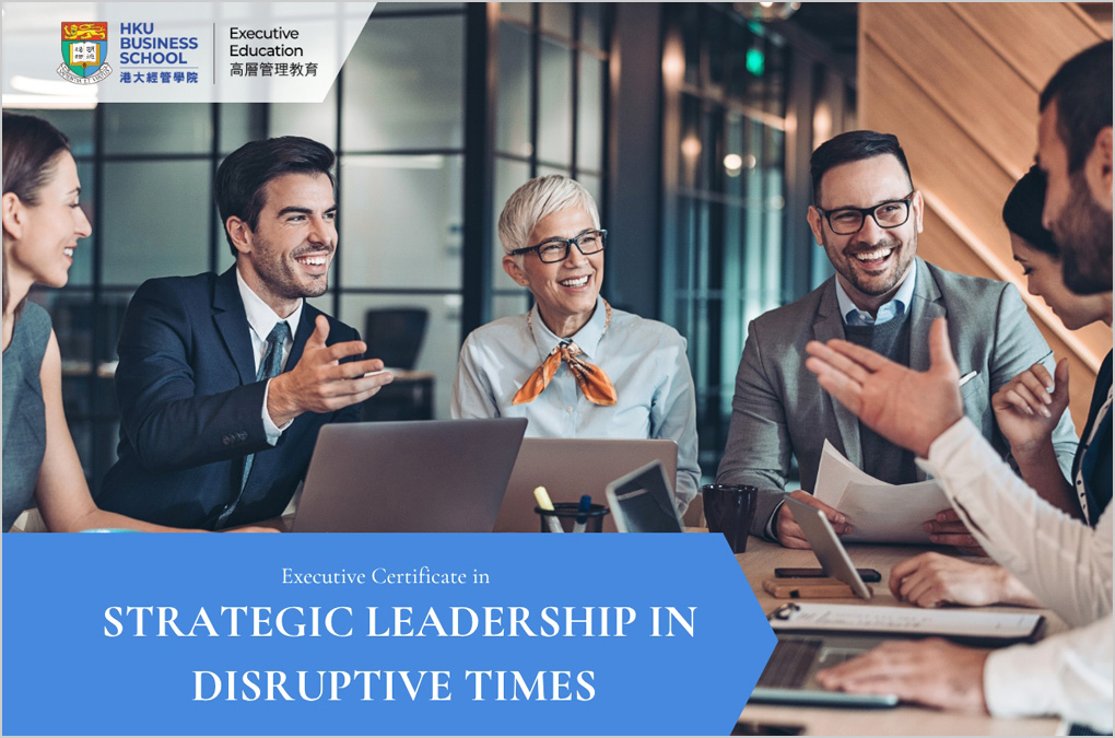 Strategic Leadership in Disruptive Times | 4-Day Immersive Programme with Executive Coaching